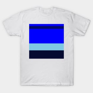 A brilliant integration of Sky Blue, Primary Blue, Dark Imperial Blue and Dark Navy stripes. T-Shirt